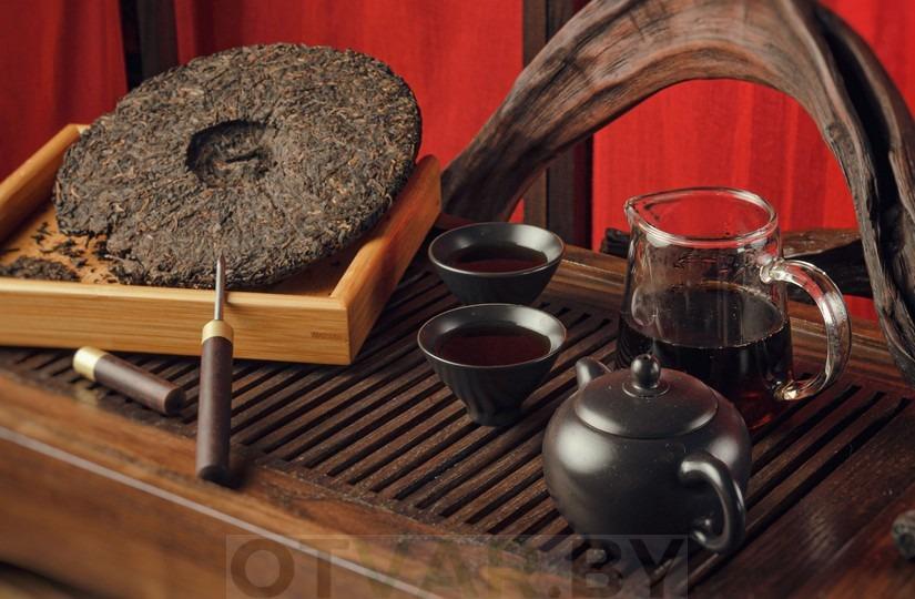 puer-v-chainike-tip-top