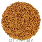 Светлая гречиха