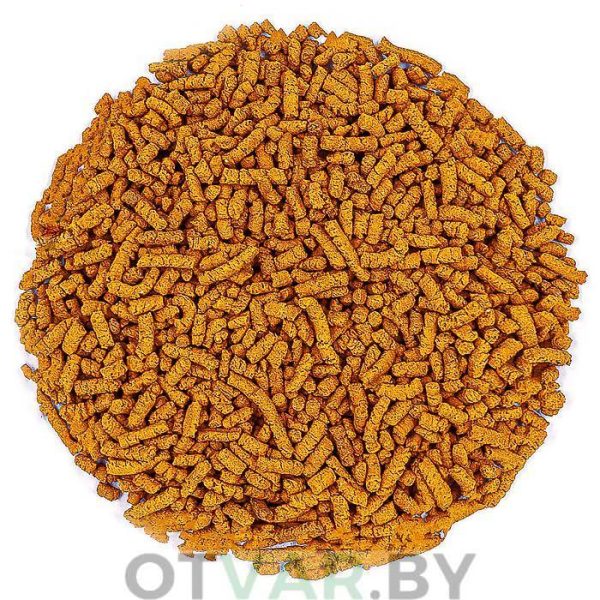 Светлая гречиха Светлая гречиха