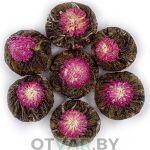 Юй Лун Тао (Нефритовый персик Дракона)