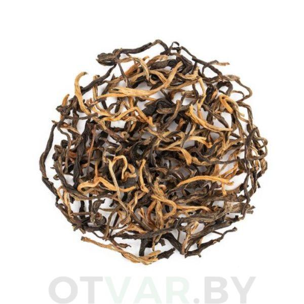 Без названия, копия - 2023-07-21T194403.869